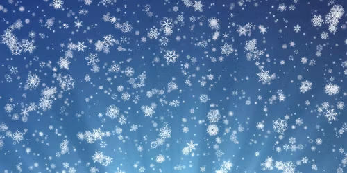 Kiddie Academy Winter Festival