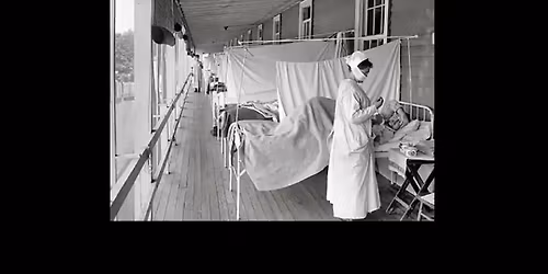 Ten Plagues of Sydney: Talk by Storyteller Jo Henwood