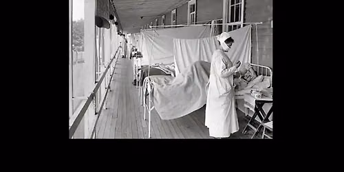 Ten Plagues of Sydney: Talk by Storyteller Jo Henwood