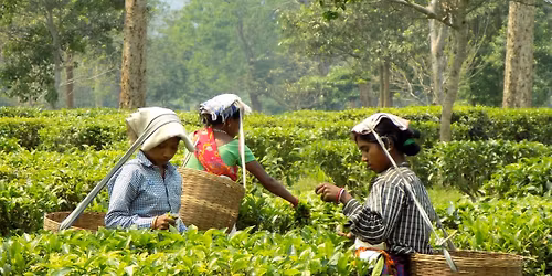 \u09e9\u09ef\u09ef\u09ef \u099f\u09be\u0995\u09be\u09af\u09bc \u0986\u0989\u09b2\u09bf\u09af\u09bc\u09be\u09b0 \u09aa\u09c2\u09a3\u09cd\u09af\u09ad\u09c2\u09ae\u09bf \u09b8\u09bf\u09b2\u09c7\u099f \u09b0\u09bf\u09b2\u09cd\u09af\u09be\u0995\u09cd\u09b8 \u099f\u09cd\u09b0\u09bf\u09aa