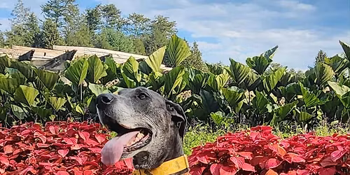 Monthly $10 Nail Clinic