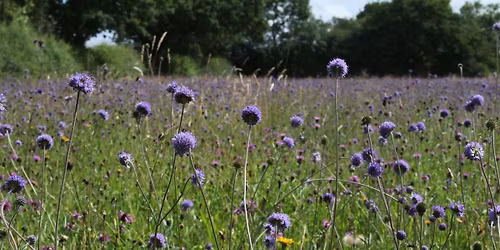 Conservation Forum 2025