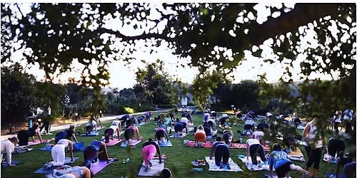 Pilates In The Park