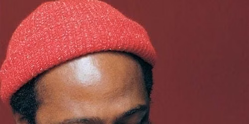 Let's Get It On : The Heritage of Marvin Gaye