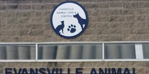 Evansville Animal Care & Control Joins First Friday\u2019s on North Main Cruise In 