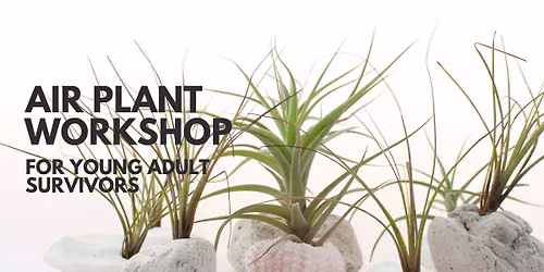 Cultivating Community: Air Plant Workshop for Young Adult Survivors