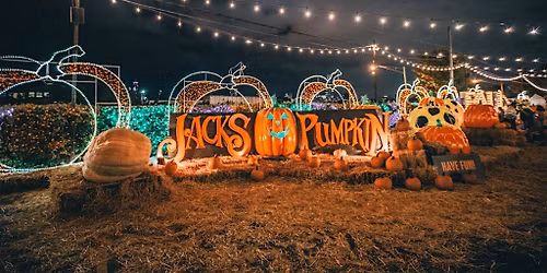 Graduate Council Presents: Jack's Pumpkin Pop-Up
