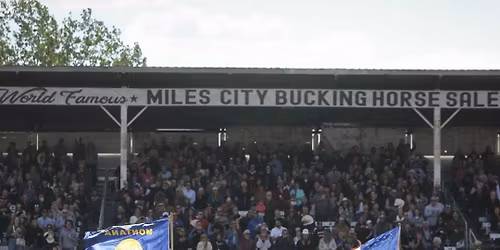 2026 World Famous Miles City Bucking Horse Sale - Sunday at Eastern Montana Fairgrounds