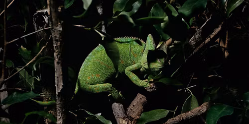 Museoiden y\u00f6 Aboa Vetus Ars Novassa