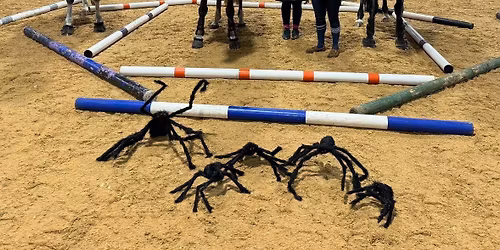 \ud83c\udf83\ud83d\udca5Halloween Poles and Grid Work Clinic\ud83d\udca5\ud83c\udf83 