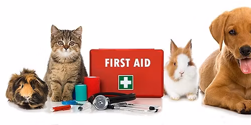 Pet First Aid and CPR Workshop