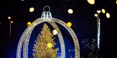 Vilniaus Kal\u0117d\u0173 egl\u0117s \u012f\u017eiebimas