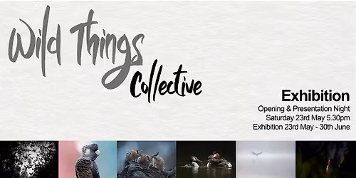 Wild Things Collective Opening and Presentation