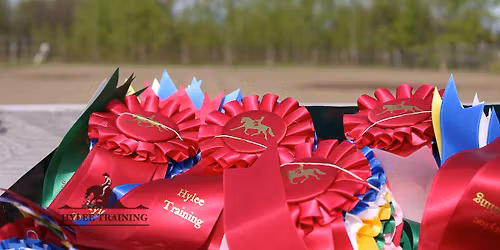 Hylee Training Western Spring Schooling Show