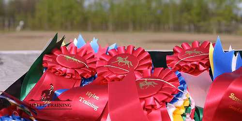 Hylee Training Western Spring Schooling Show