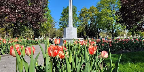 CWGC War Graves Week Tour 2026 - Beechwood Cemetery