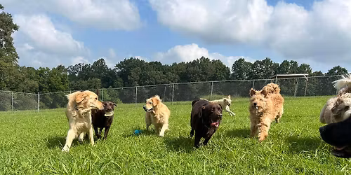 Deck the Paws Holiday Bash!\ud83d\udc3e\ud83c\udf85