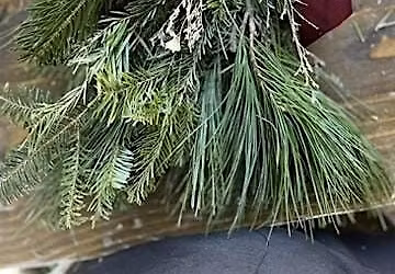 Wreath Swag Workshop at Sun King Brewing