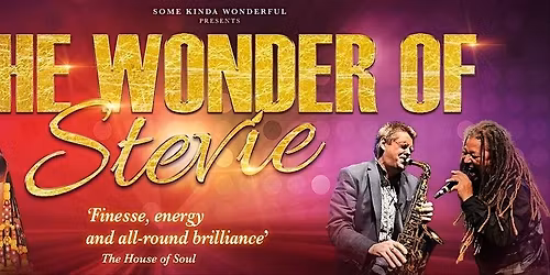 The Wonder of Stevie