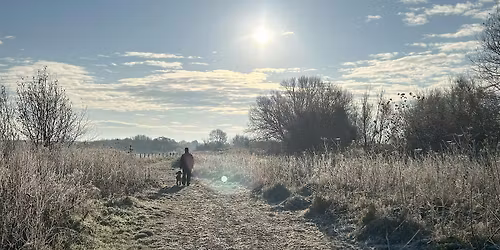 Winter Tree ID Wild Workshop