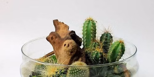 Desert Terrarium Workshop 