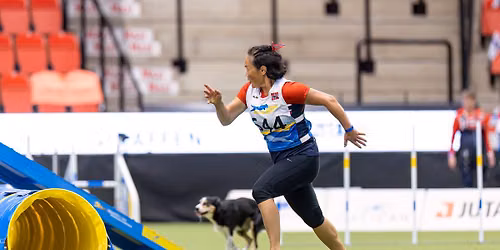 Agility Handling med Trine Thorkildsen