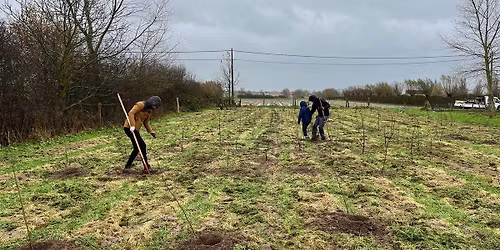 Bosplantdag! (eventueel bosplantweekend...)