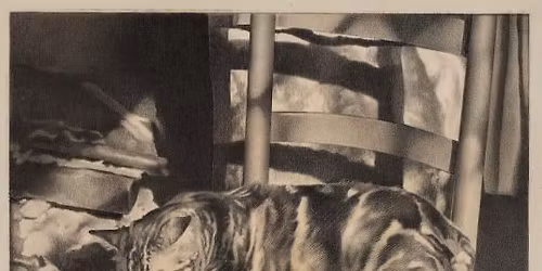Gallery Talk: Feline Felicity as Early American Modernism