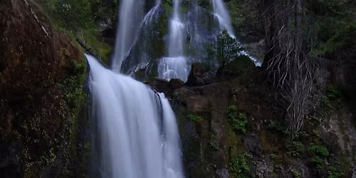 SFS PNW Chapter annual meeting