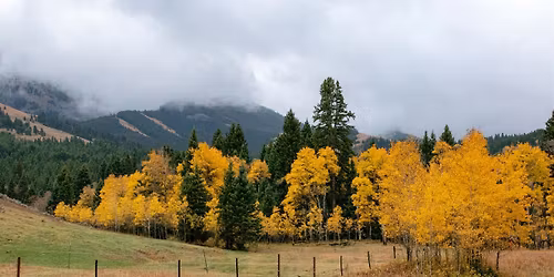 Nature Poetry: Autumn, Change, and Seasonal Spookiness