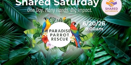 Shared Saturday - Paradise Parrot Rescue Volunteering