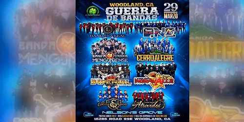 BANDA LA LEAL, BANDA TIERRA MENGUARENSE & MAS