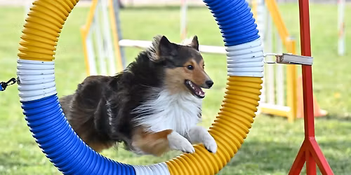 All- Jump Introduction Workshop