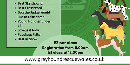 Greyhound Rescue Wales - Summer Dog Show, CARMARTHEN