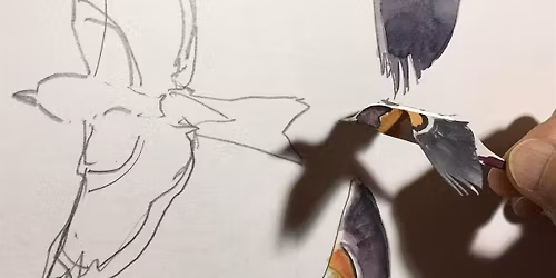 Cley Marshes - Wilder Youth Sessions (11-17yrs)