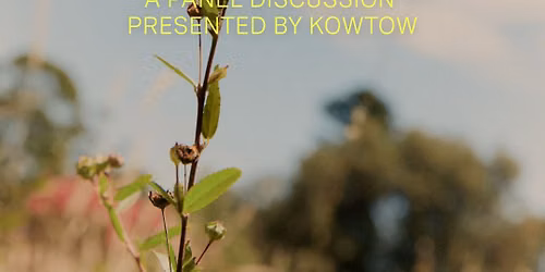 Regenerating Te Whanganui-a-Tara Wellington \u2014 a panel talk presented by Kowtow