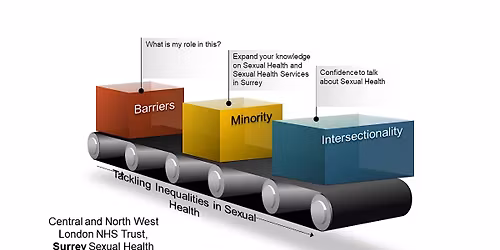 Reducing Sexual Health Inequalities within minority communities in Surrey