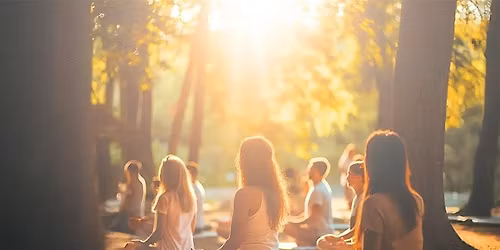 Mindful Meditation Circle