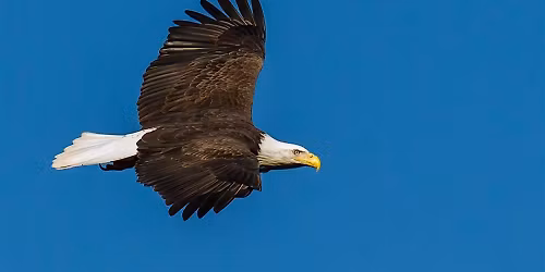 First Day Hike with the Saw Mill River Audubon Society