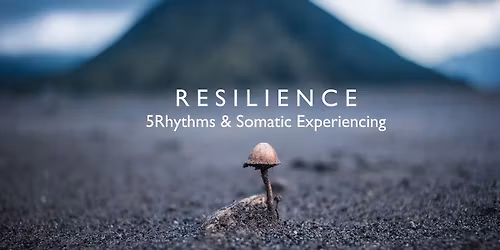 Resilience - 5Rhythms & Somatic Experiencing - with Ron Hagendoorn (NL)