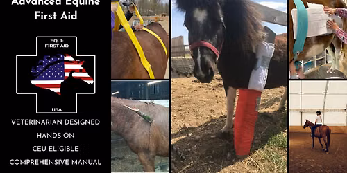 Advanced Equine First Aid