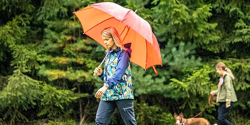 Motywacja z Paul\u0105 Gumi\u0144sk\u0105 w Magicznym Lesie lvl. 1