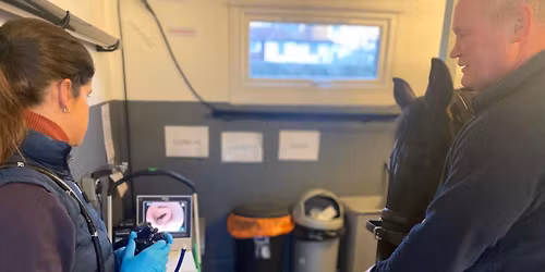 Gastroscope clinic - \u00a3130