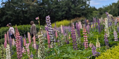 Nature Based Wellbeing: Mindfulness in the Gardens