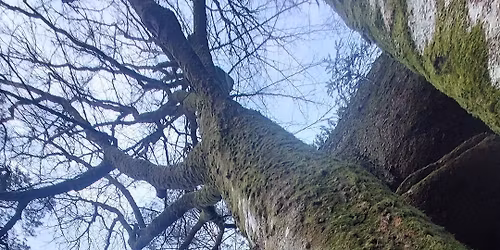 La course des Lavoirs 2026 | XIVe \u00e9dition 