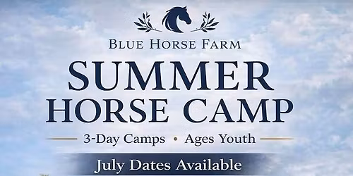 Horse Summer Camp