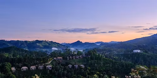 Fotoworkshop f\u00fcr Fujifilm-Neulinge