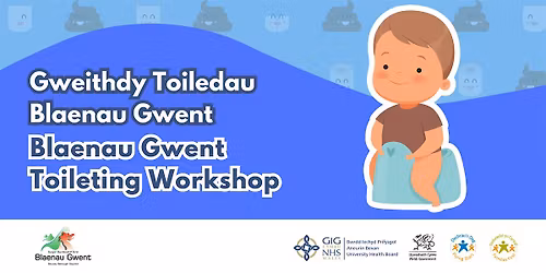 Blaenau Gwent Toileting Workshop