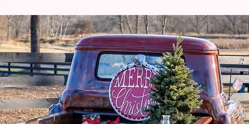 Christmas Mini Sessions