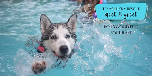 DFW May Meet & Greet - Southlake